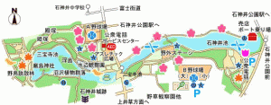 石神井公園マップ